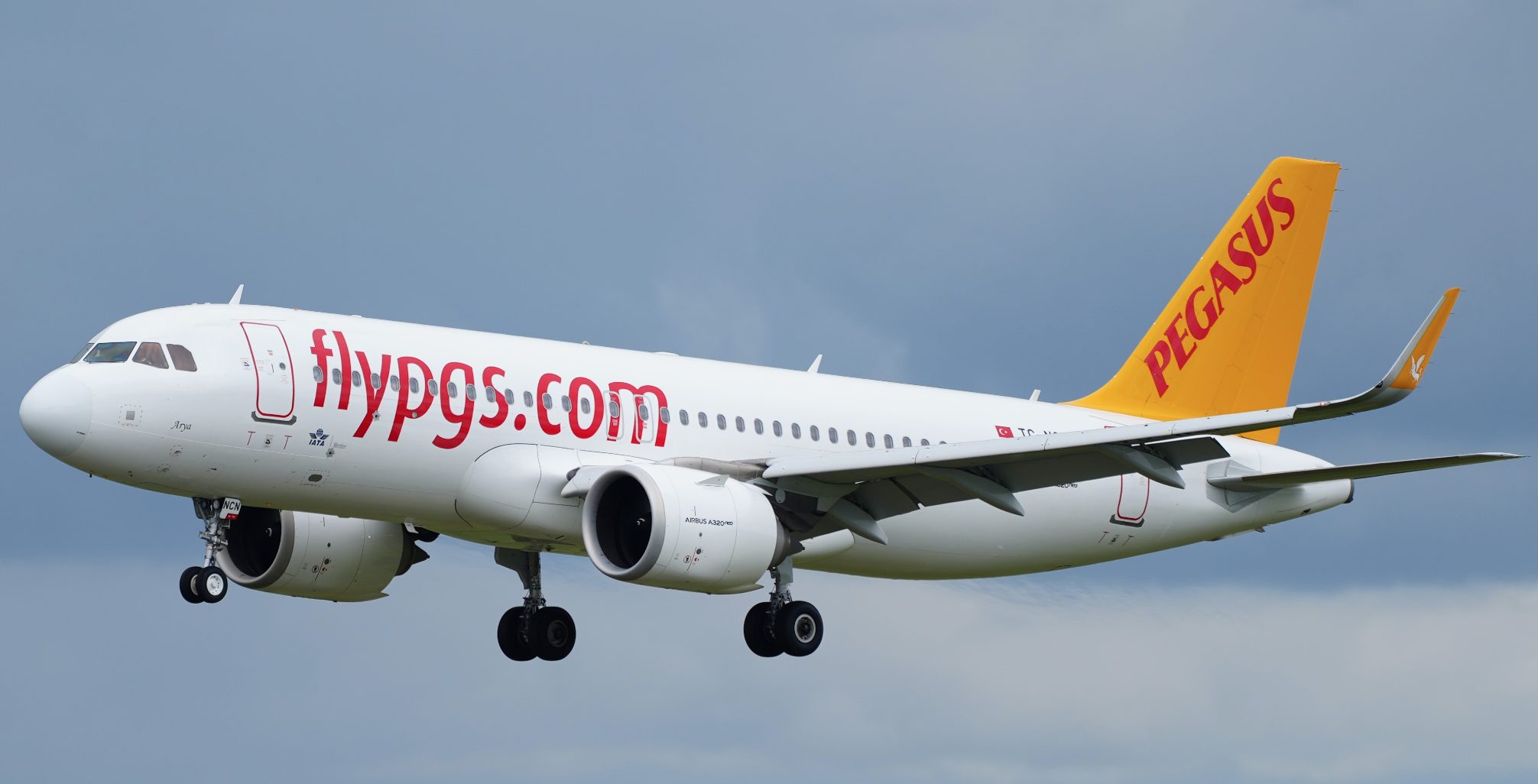 Распродажа авиабилетов Pegasus Airlines с 14 по 17 июня | Тревелюшки