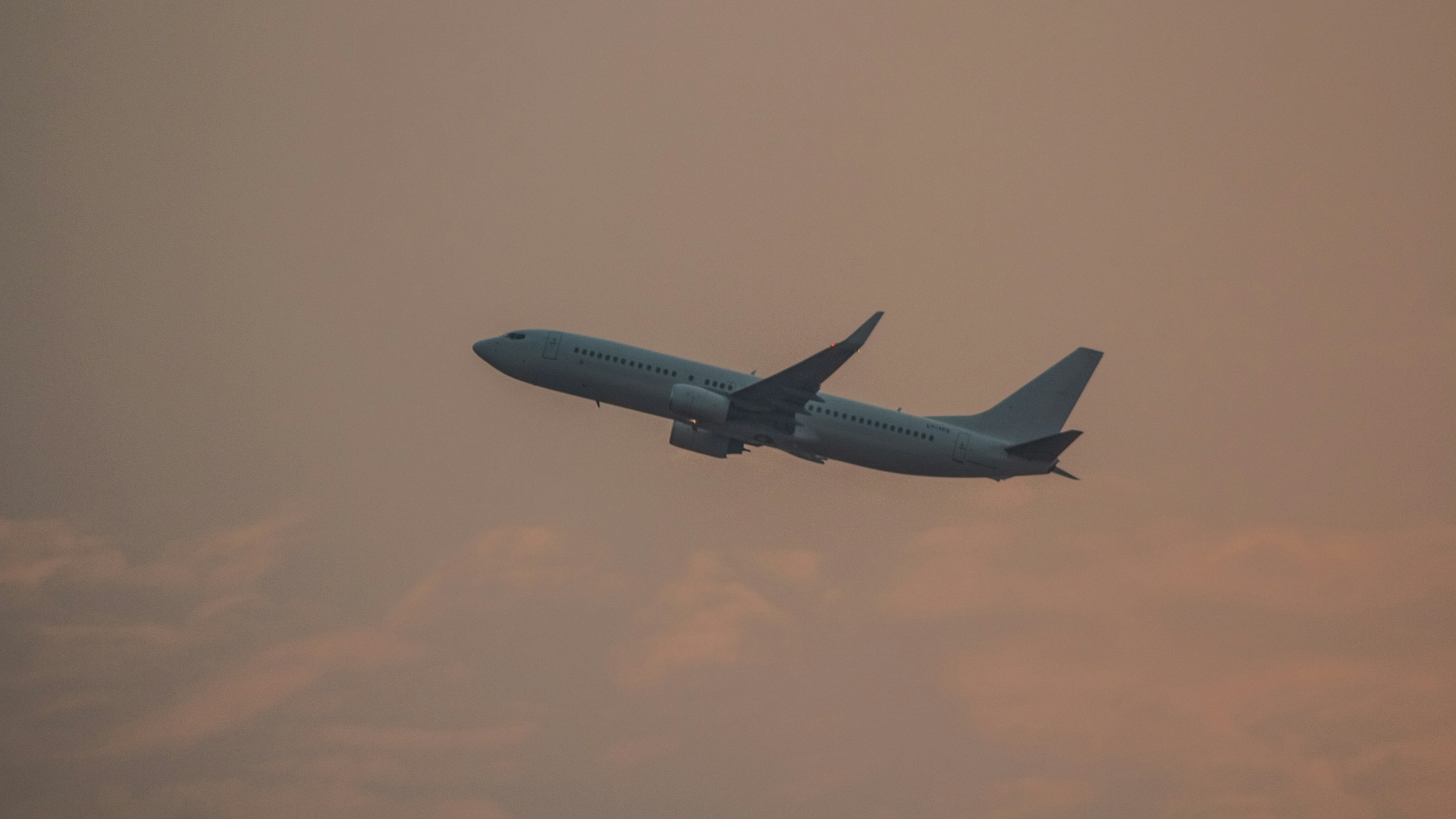 Flight