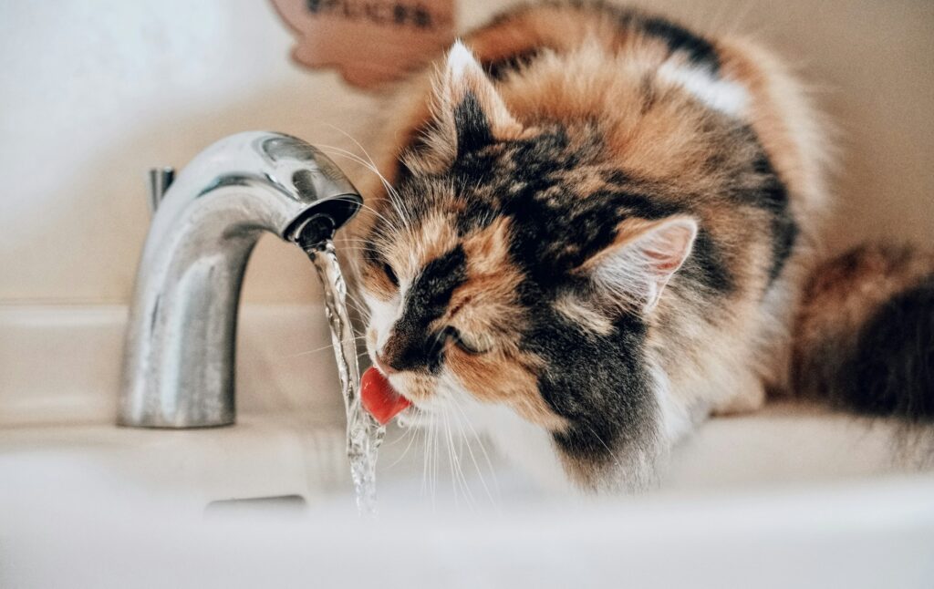 Вода из под крана